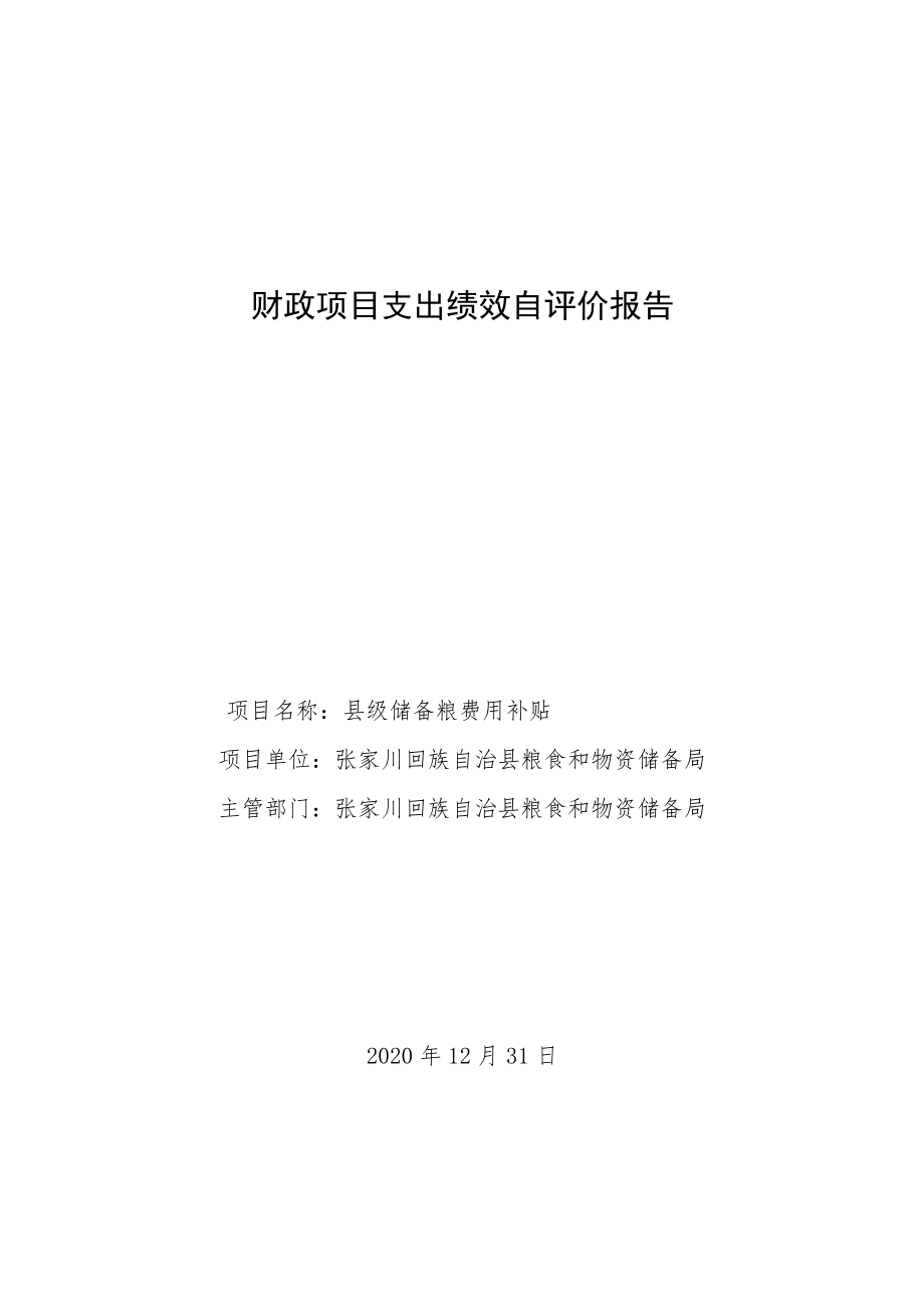 财政项目支出绩效自评价报告.docx_第1页