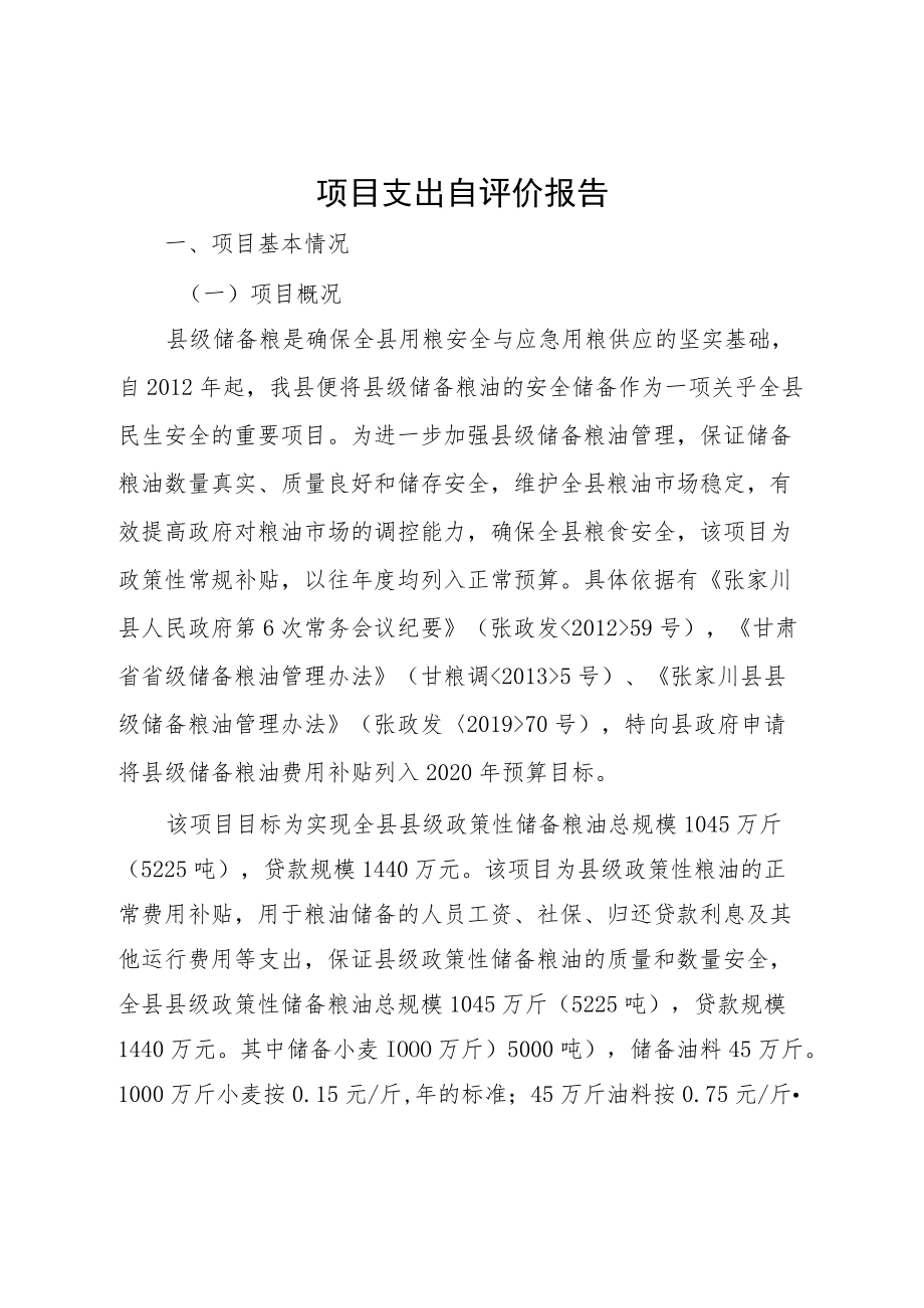 财政项目支出绩效自评价报告.docx_第2页