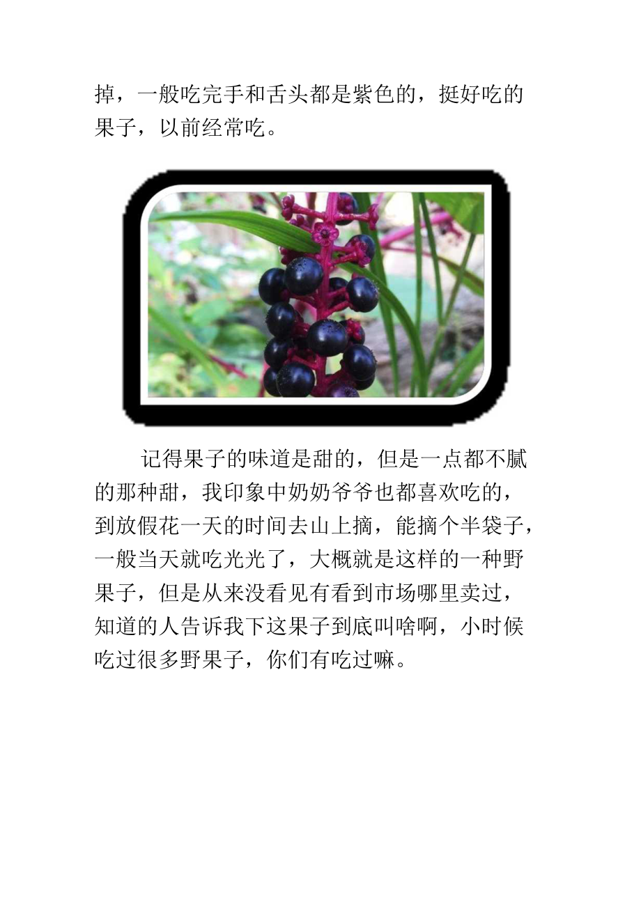 山沟里和琵笆上长满了绿色的和紫色的普通写句子.docx_第2页