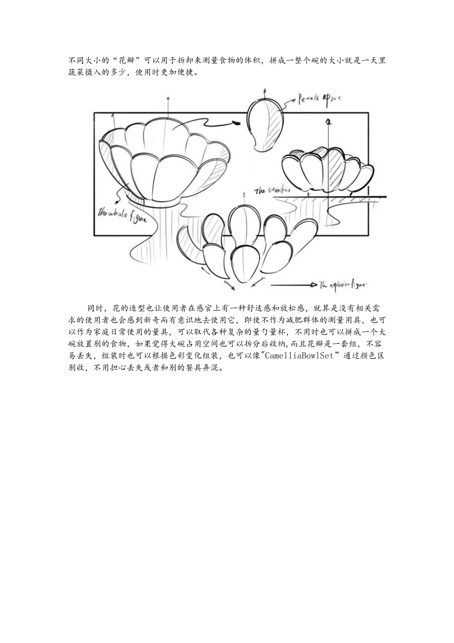 设计前沿大作业.docx_第3页