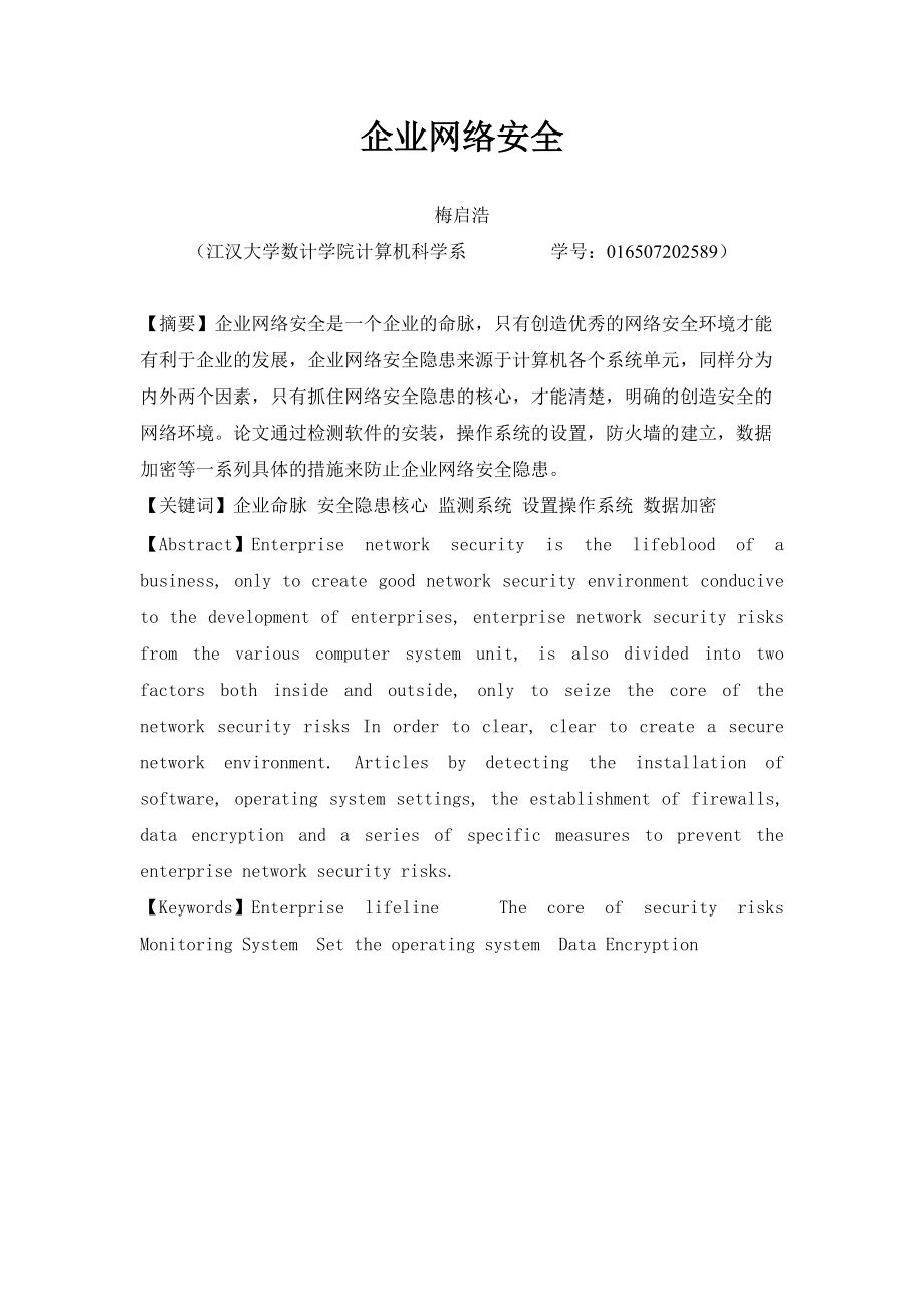 公司网络安全.docx_第2页