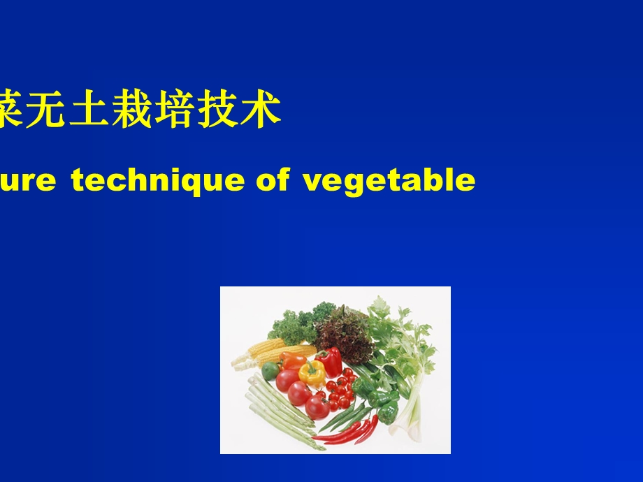 第八章蔬菜无土栽培技术ppt课件.ppt_第1页