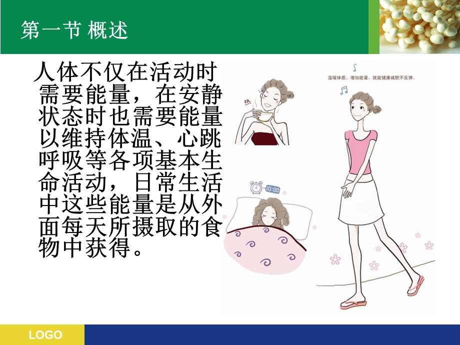 第三章 人体能量需要课件.ppt_第3页