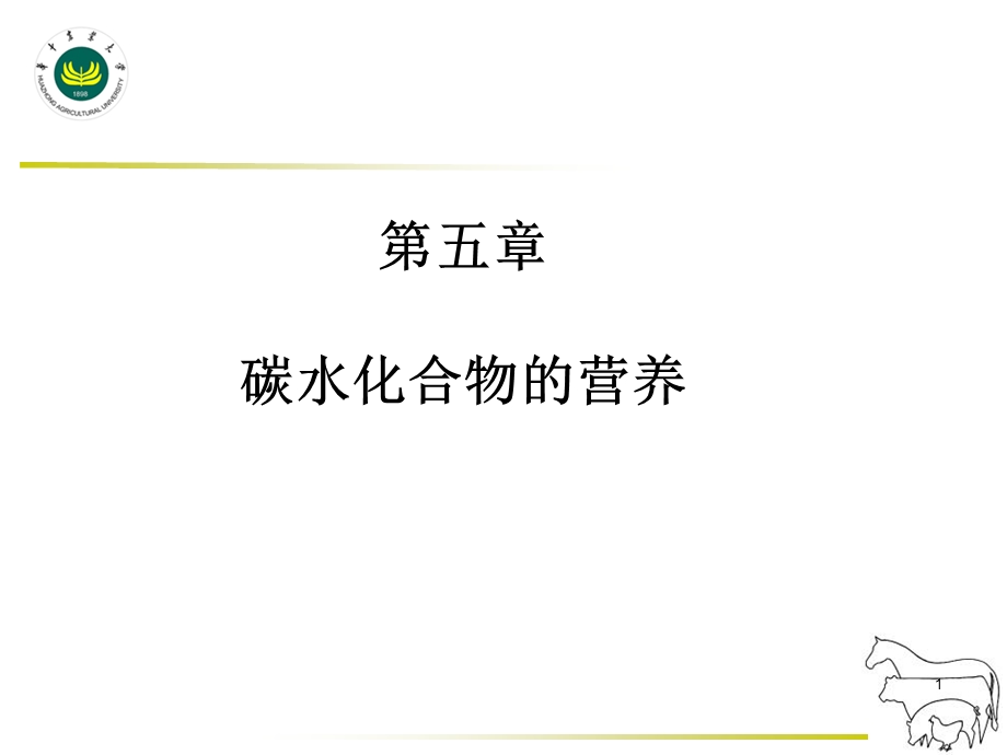 碳水化合物营养课件.ppt_第1页