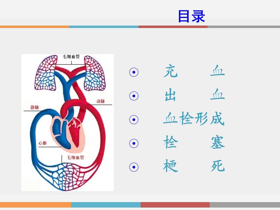 病理学 局部血液循环障碍（高专）课件.ppt_第2页