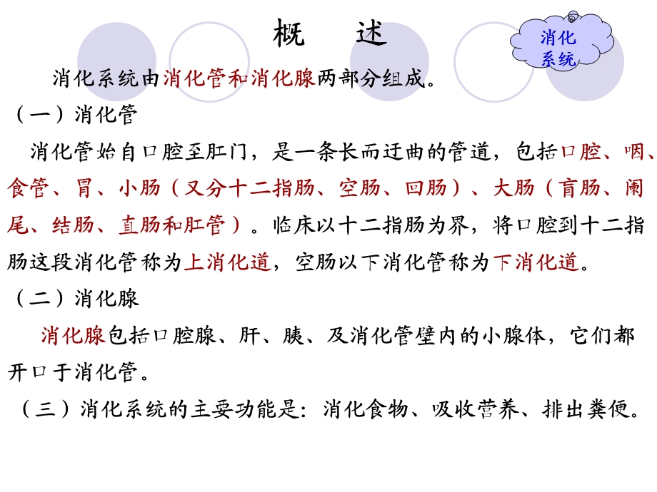 解剖学第四章消化系统课件.ppt_第3页