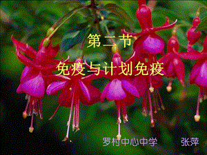 第二节 免疫与计划免疫课件.ppt