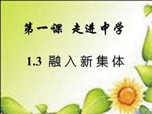 融入新集体ppt课件.ppt