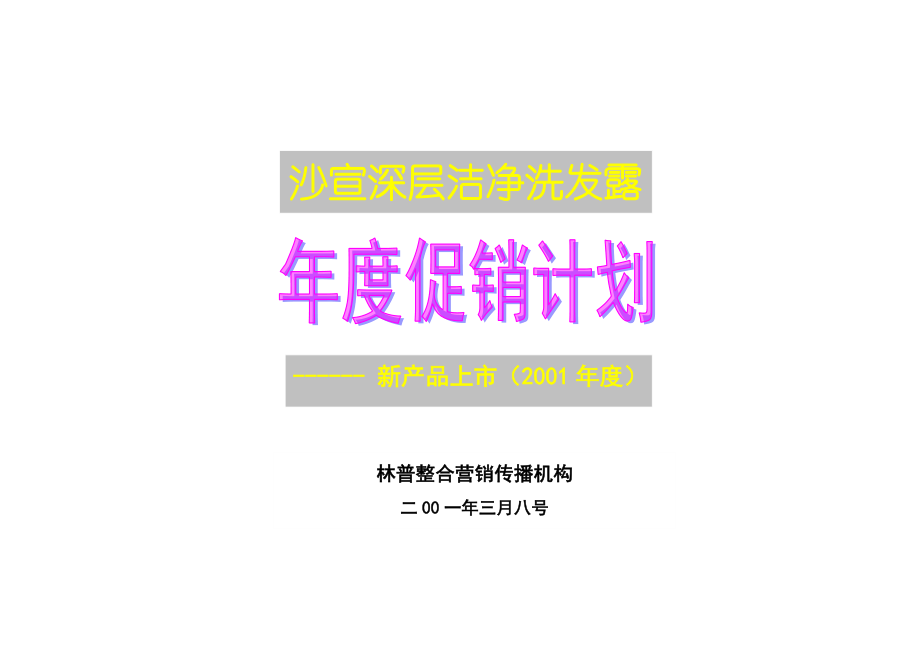 宝洁沙宣产品市场推广策略.docx_第1页