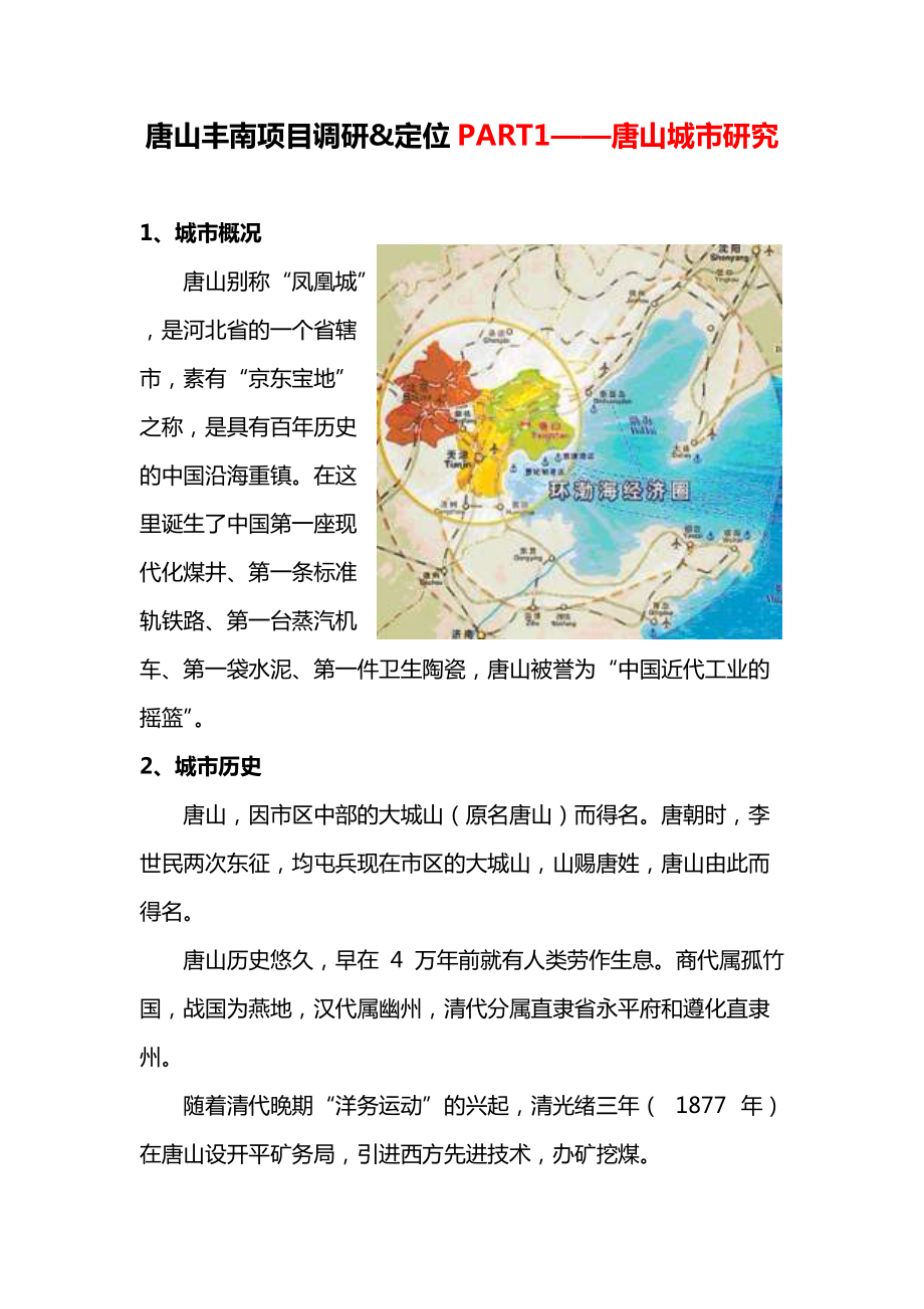 X年河北唐山丰南区项目市场情况调研_定位报告.docx_第3页