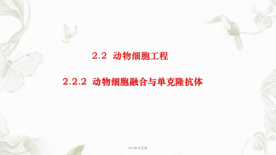 动物细胞融合与单克隆抗体课件.ppt_第1页