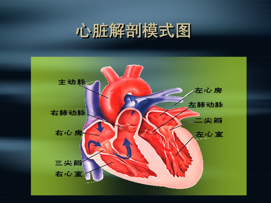 风湿性心脏瓣膜病课件.ppt_第2页