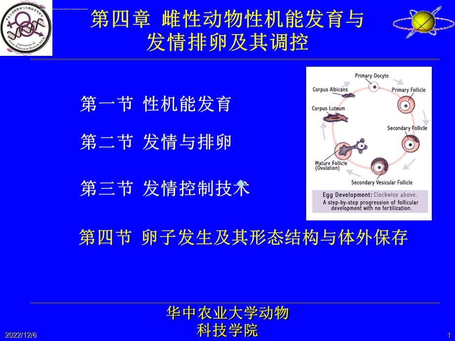 动物繁殖学第10讲卵子发生及其形态结构与体外保存课件.ppt_第1页