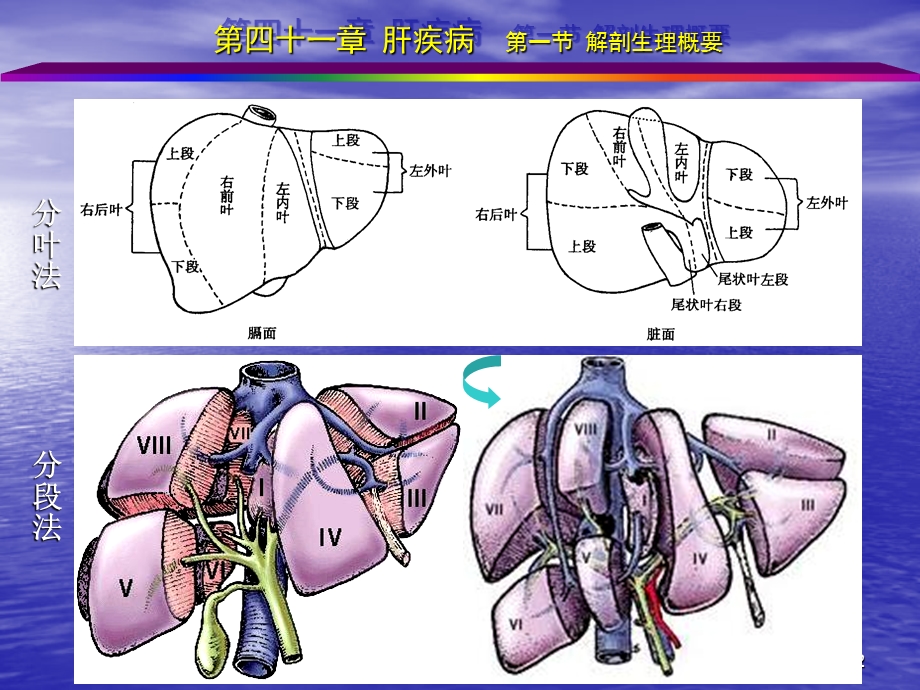 外科学肝疾病课件.ppt_第2页