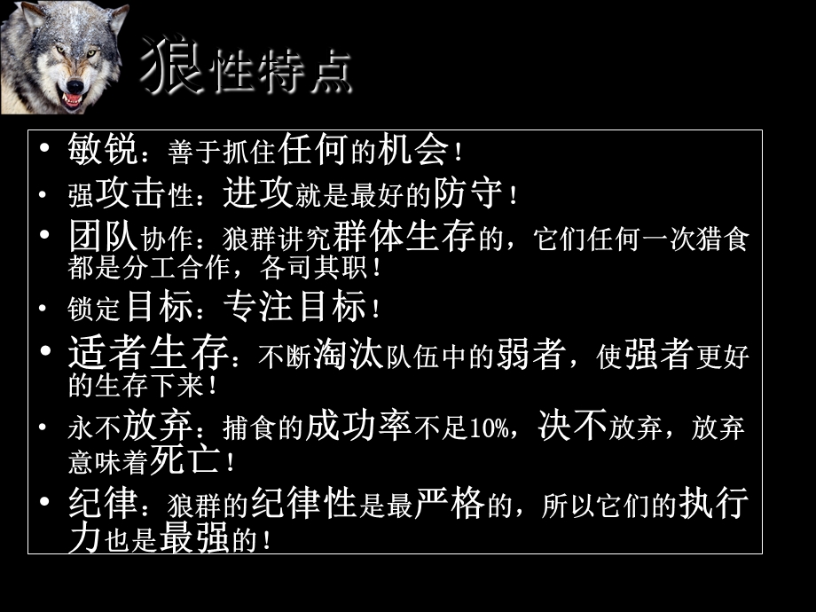 狼性团队课件.ppt_第3页