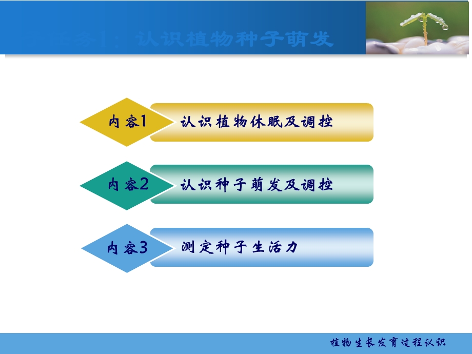 植物生长发育过程认识课件.ppt_第2页