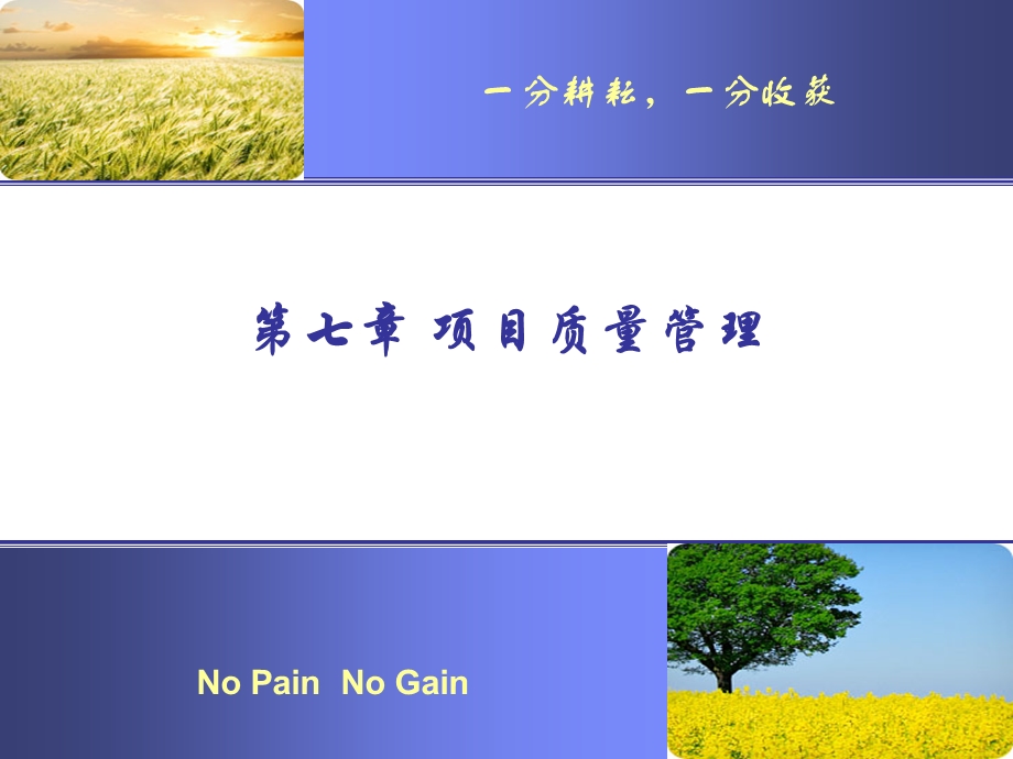 第7章项目质量管理课件.ppt_第1页