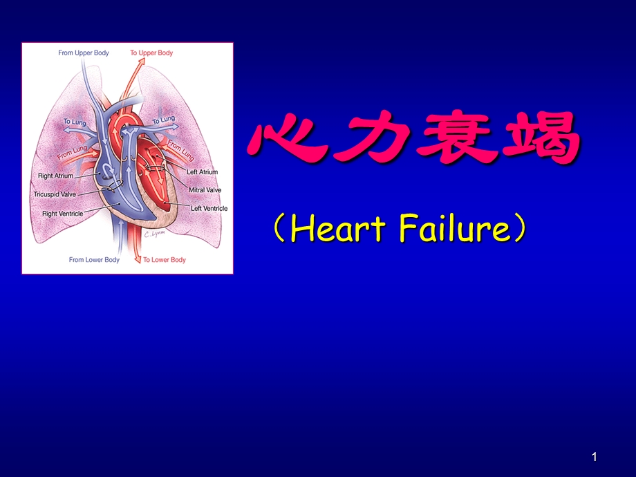 心力衰竭护理课件.ppt_第1页