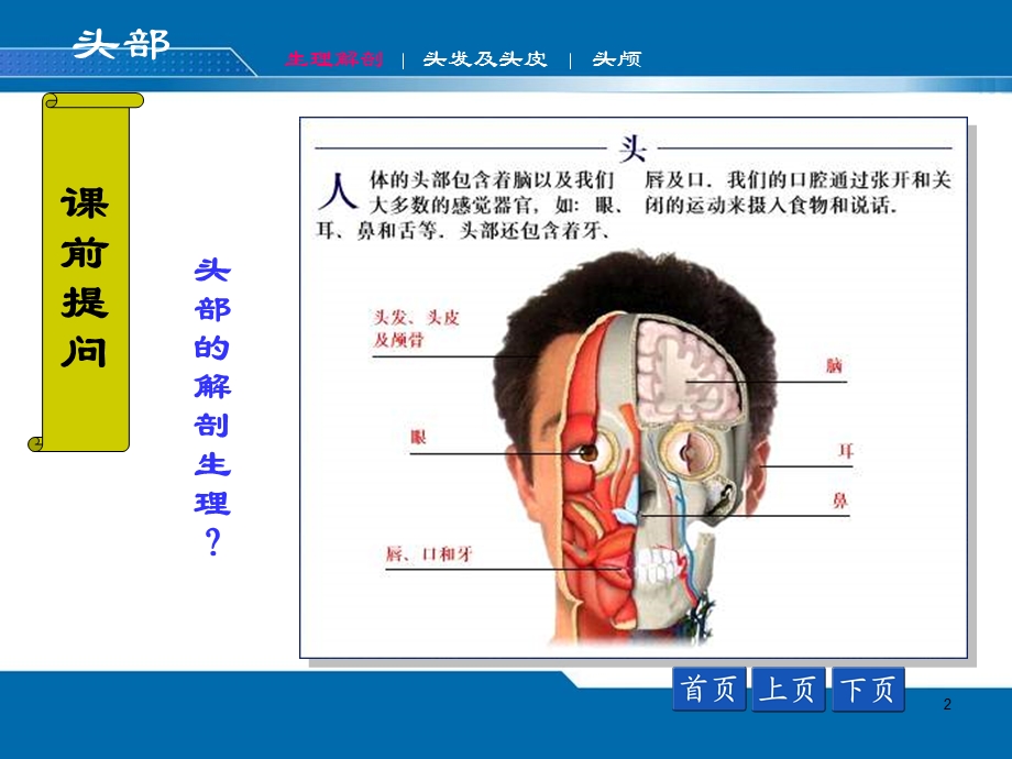 头面颈部评估课件.ppt_第2页