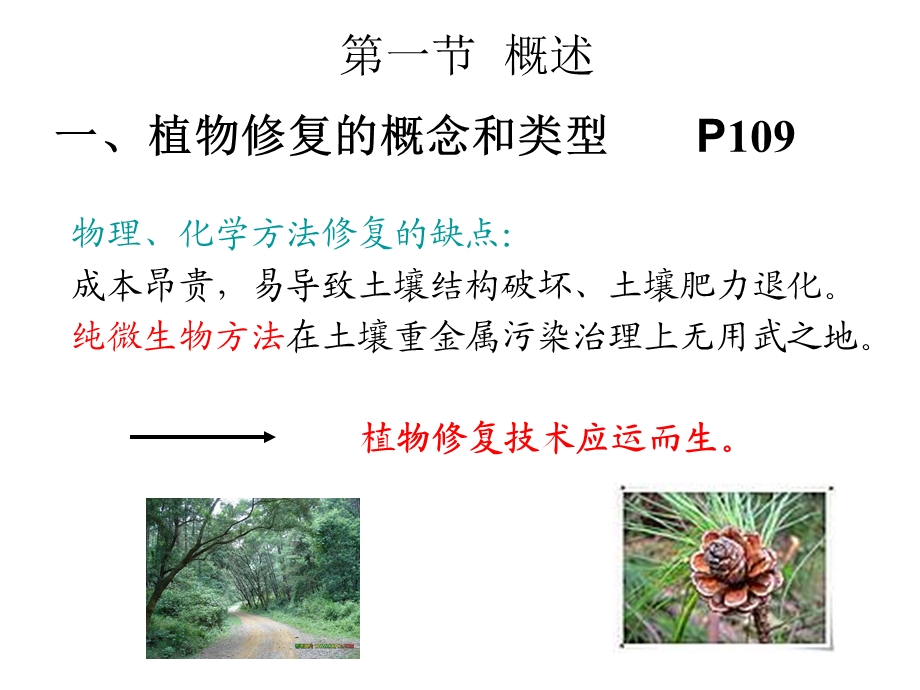污染环境植物修复原理课件.ppt_第3页
