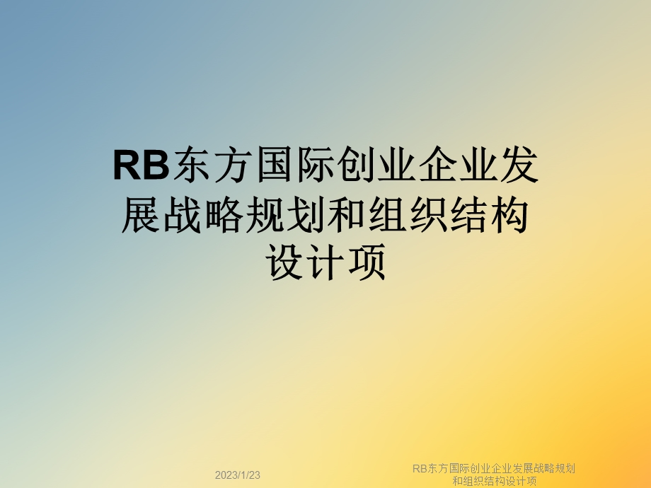 RB创业企业发展战略规划和组织结构设计项课件.ppt_第1页