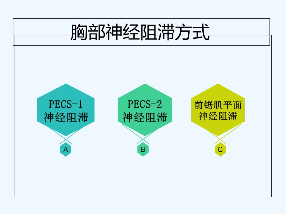 超声引导下胸腹部神经阻滞课件.ppt_第2页