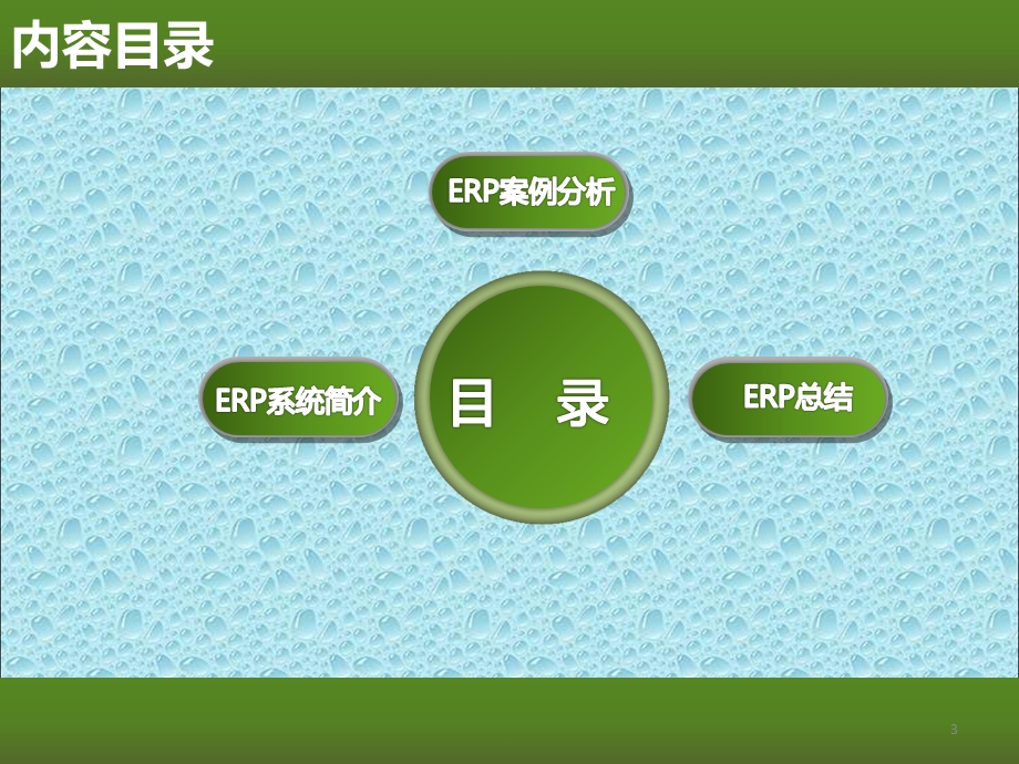 ERP案例分析课件.ppt_第3页