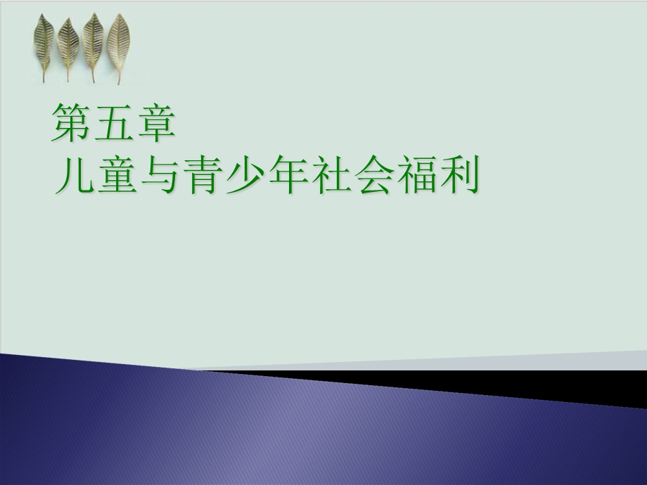 儿童与青少年社会福利课件.ppt_第1页