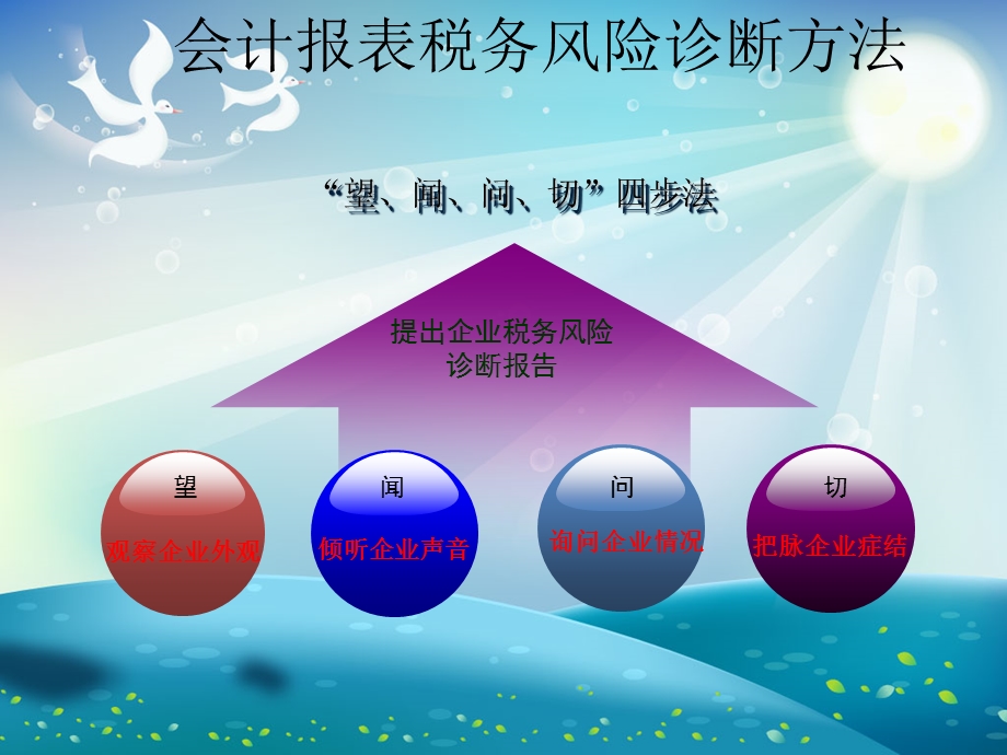 会计报表税务风险检查诊断课件.ppt_第1页