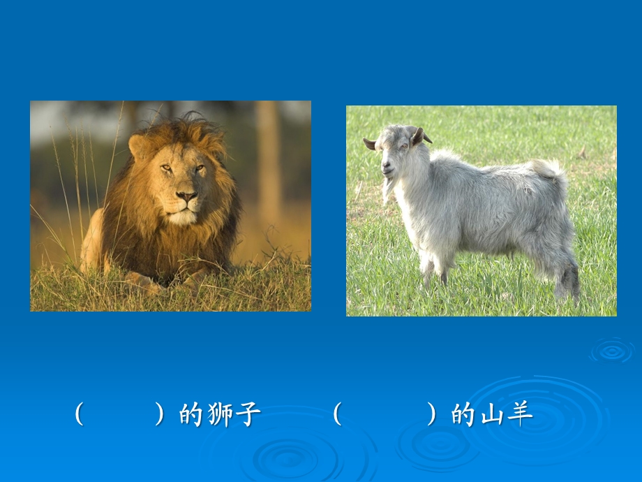 狮子和山羊课件.ppt_第3页