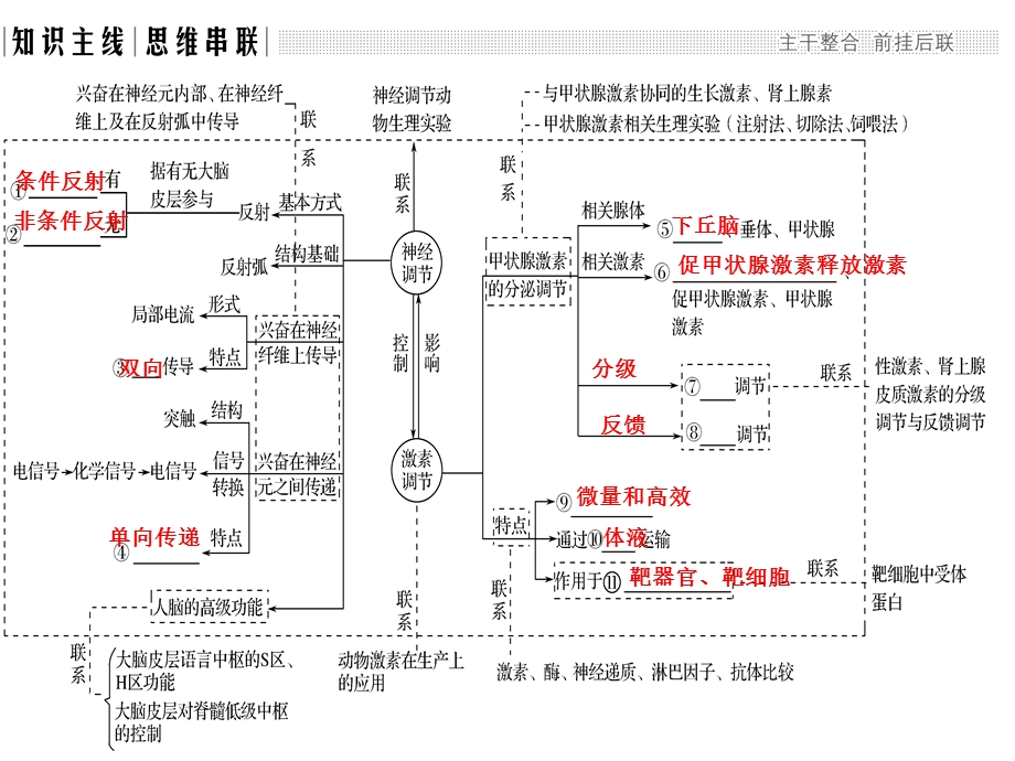 第五单元神经体液免疫调节汇总课件.ppt_第3页