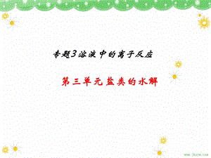 《盐类的水解》全部课件.ppt