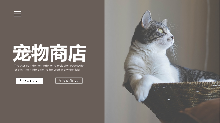 宠物商店简约小清新猫咪PPT模板课件.pptx_第1页