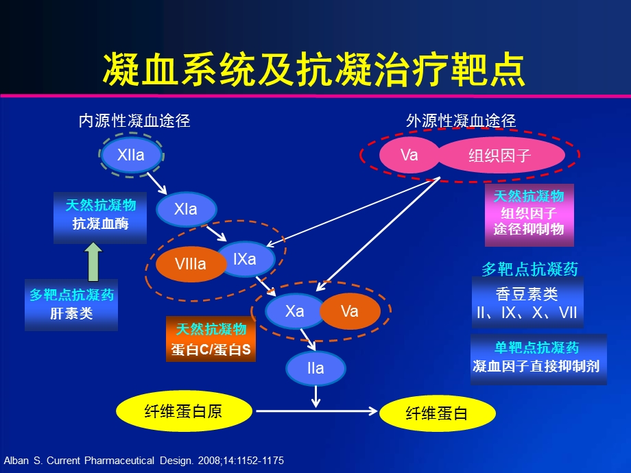 从抗凝机制的角度理解和选择抗凝药物课件.ppt_第2页