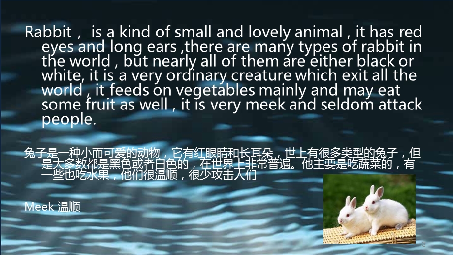 动物有关的英文课件.ppt_第3页