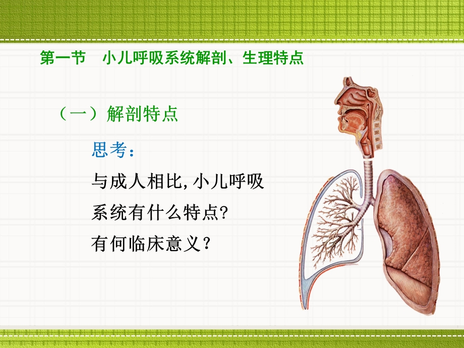 呼吸系统疾病患儿的护理课件.ppt_第3页