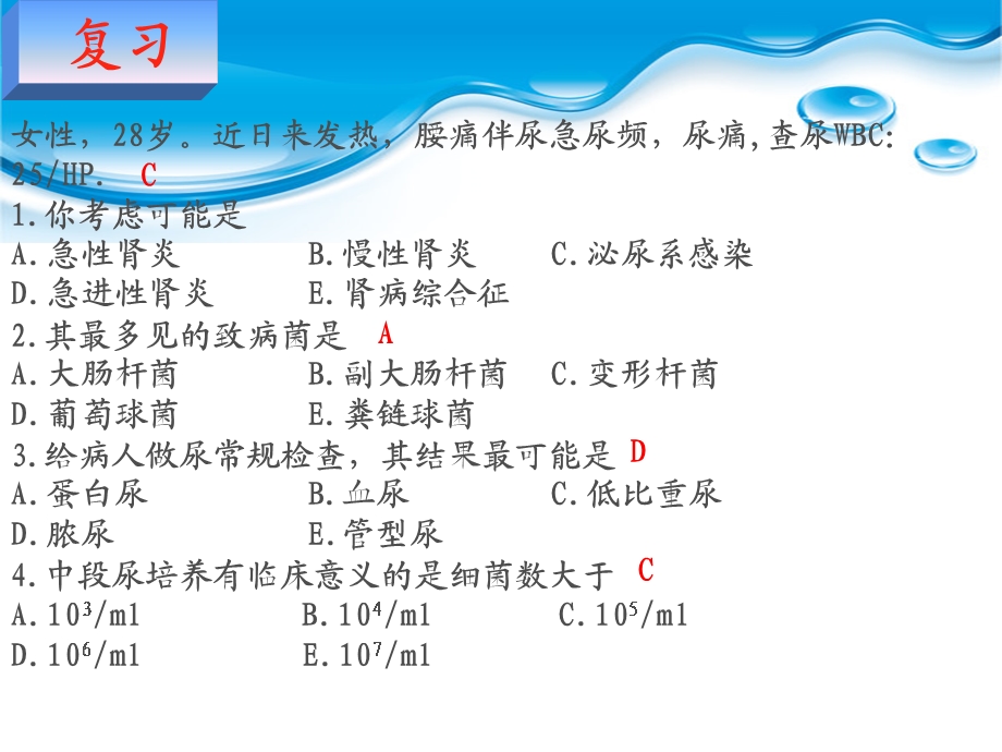 慢性肾小球肾炎整理课件.ppt_第2页