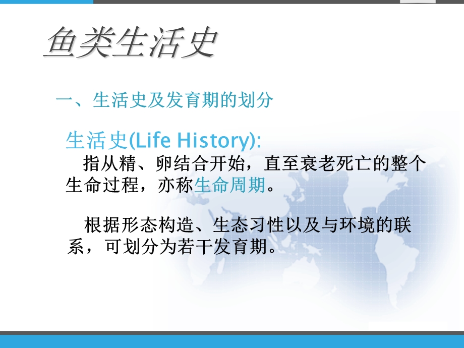 鱼卵仔稚鱼的研究课件.ppt_第3页