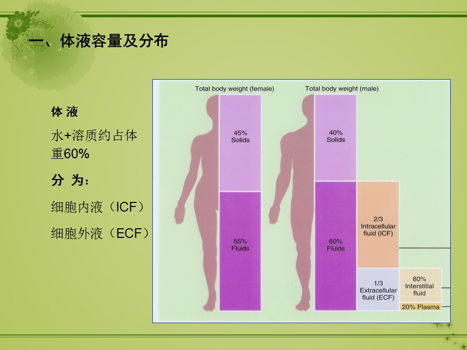 水电解质紊乱酸碱失衡课件.ppt_第2页