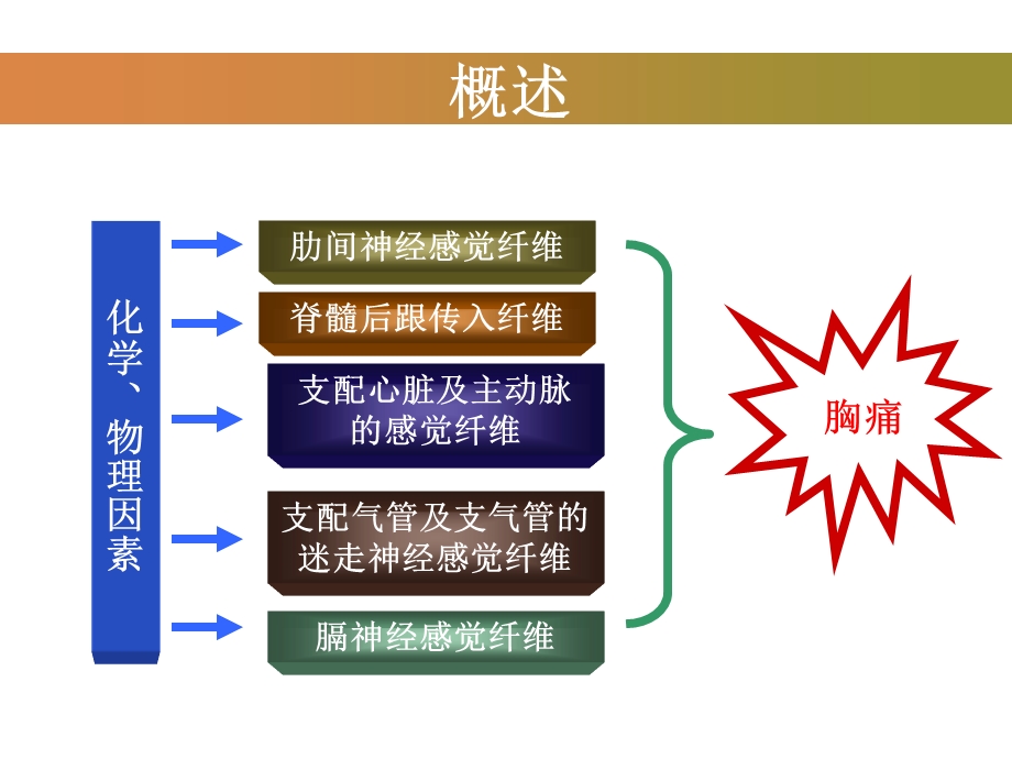 胸痛的急诊处理课件.ppt_第3页