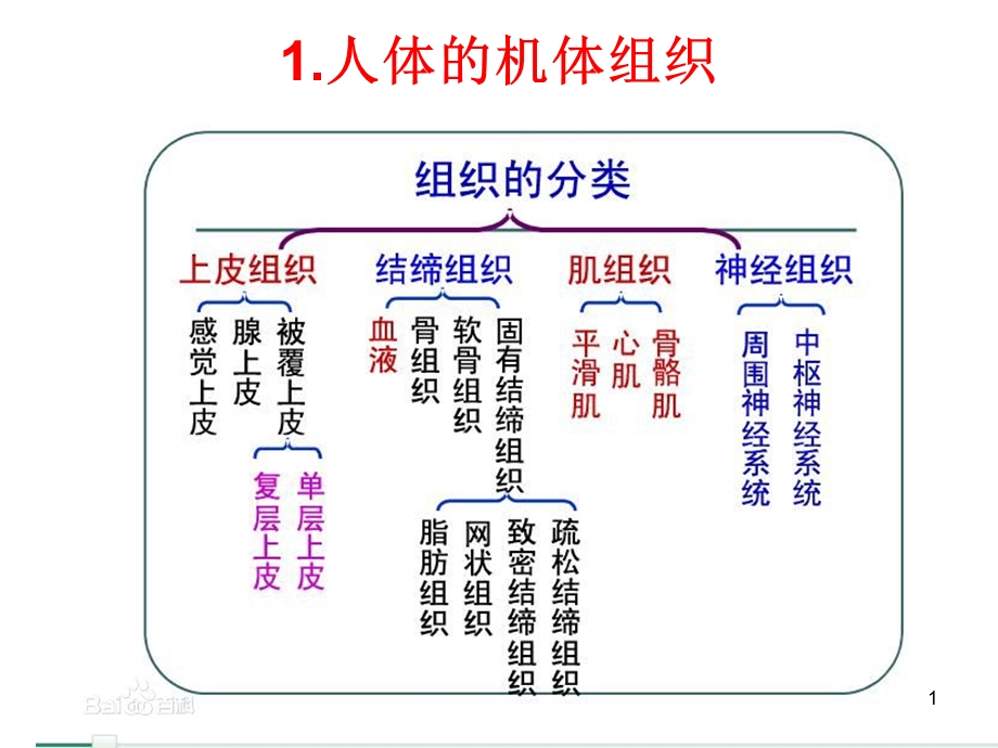 生物学相关基础简介课件.ppt_第1页