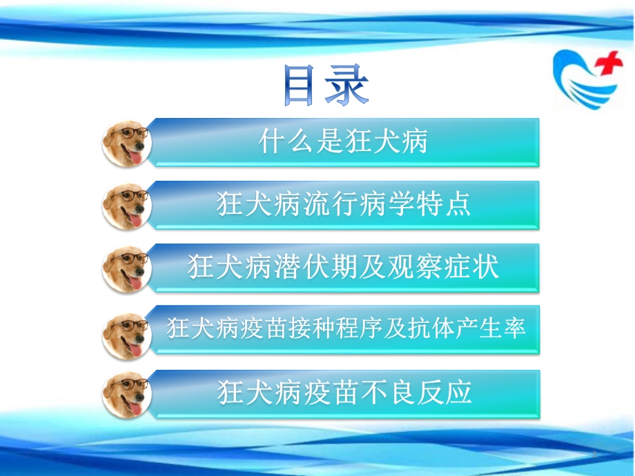 认识狂犬病课件.ppt_第2页