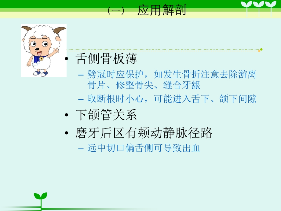 阻生牙拔除术课件.ppt_第3页