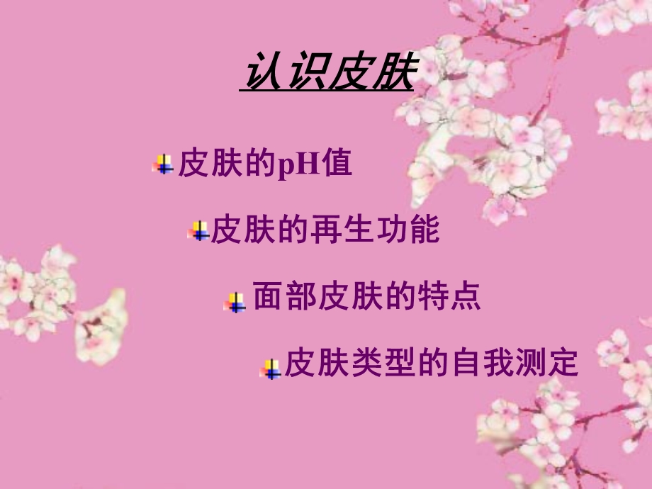 认识皮肤课件.ppt_第2页