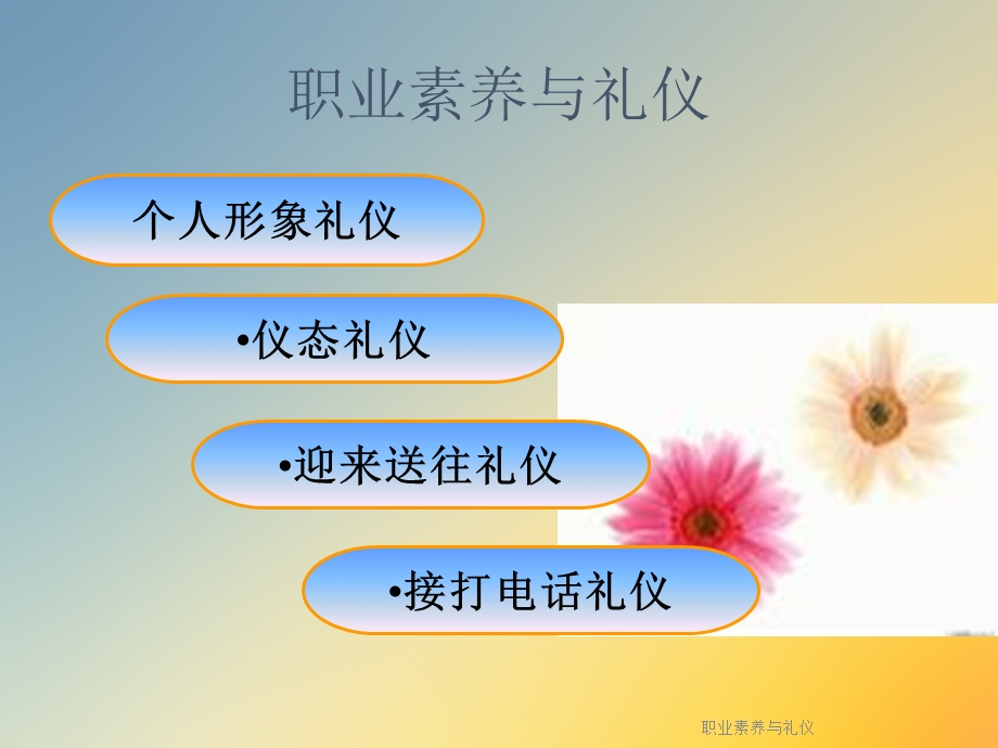 职业素养与礼仪课件.ppt_第3页