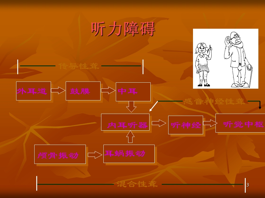 听性脑干诱发电位的临床应用课件.ppt_第3页