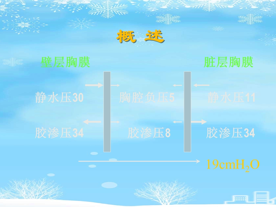 胸腔积液2021完整版课件.ppt_第3页