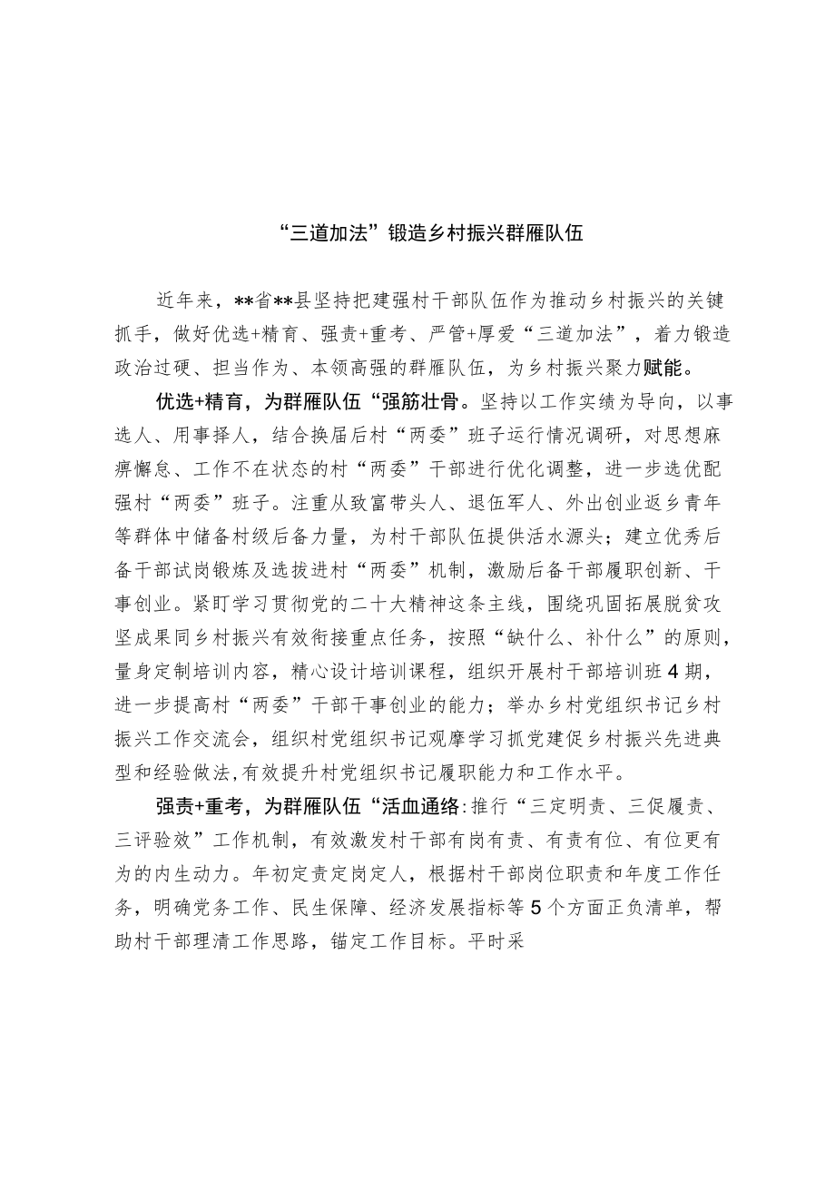 乡村振兴群雁队伍建设经验交流材料.docx_第1页