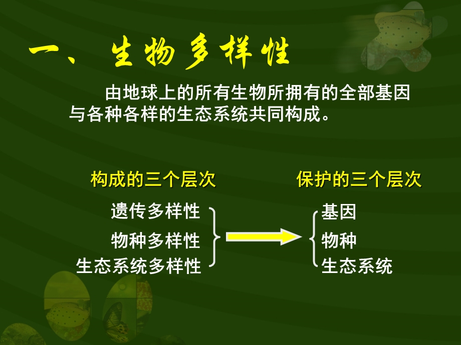 生物多样性与生态安全课件.ppt_第2页