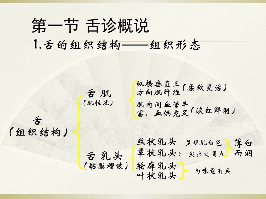 舌诊中医诊断学ppt课件.ppt_第3页